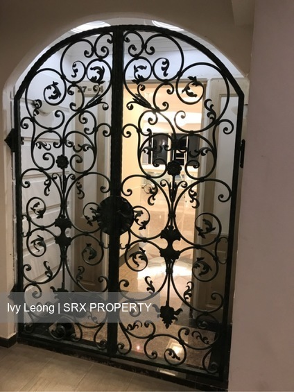 Lucky Plaza (D9), Apartment #225261341